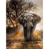 diamond painting elephant au soleil