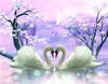 Broderie diamant Cygnes