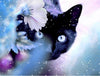 broderie diamant chat caché
