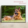 diamond painting berger allemand