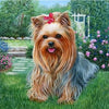 broderie diamant chien yorkshire