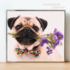 diamond painting chien carlin