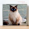 diamond painting chat siamois