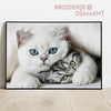 Diamond painting chat yeux bleus
