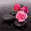 Broderie diamant Roses sur Galets