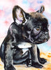 cadre broderie diamant bouledogue