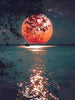 diamond painting coucher de lune
