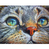 diamond painting chat multicolore