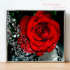 Broderie diamant Rose d'Eau
