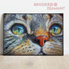 Broderie diamant chat multicolore