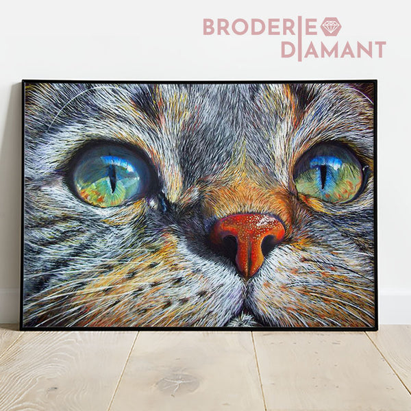 Broderie diamant chat multicolore